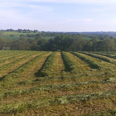 FS3 - Long Term Ley