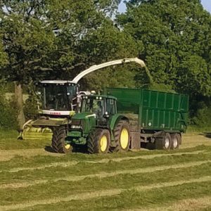 fs3-long-term-ley-seed