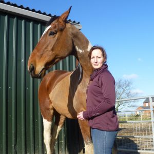 fs8-horse-pony-laminitis-safe-mixture-seed