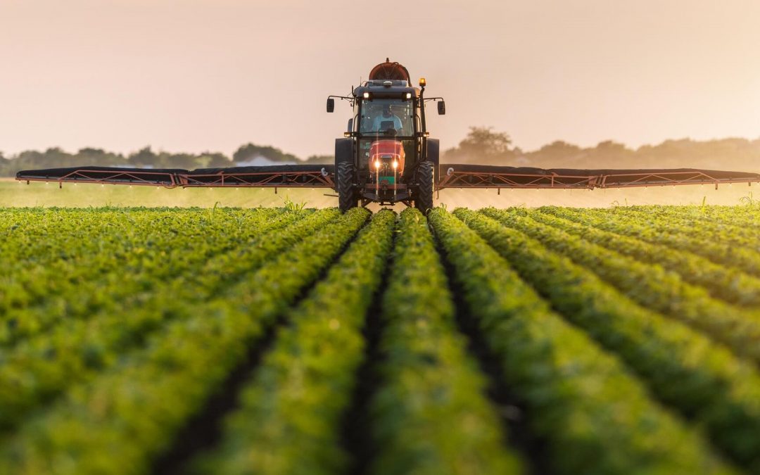 Agricultural Shows – 2021