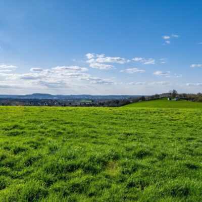 Herbal Ley to Drill into Existing Swards