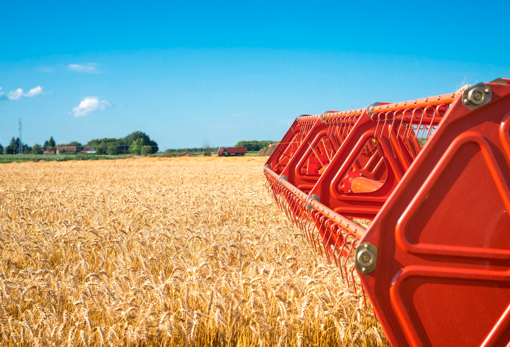 Update Harvest 2025